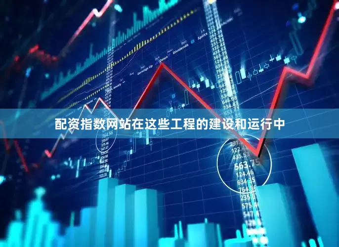 配资指数网站在这些工程的建设和运行中