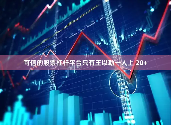可信的股票杠杆平台只有王以勒一人上 20+
